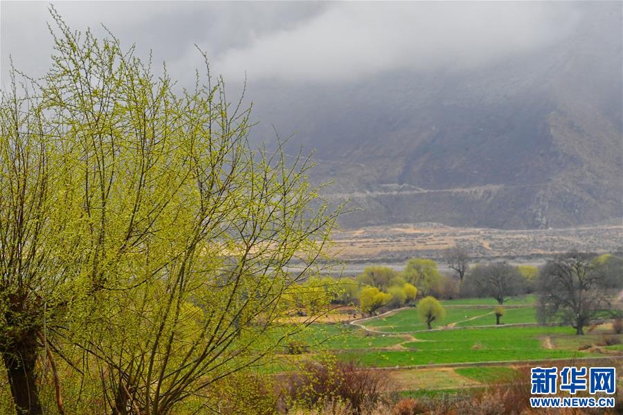 ���D�Ļ���(d��ng)����2��������������������(m��ng)���(m��ng)���ǘ��𡱡����������ذ��f(w��n)�r(n��ng)ū���61����֮�H