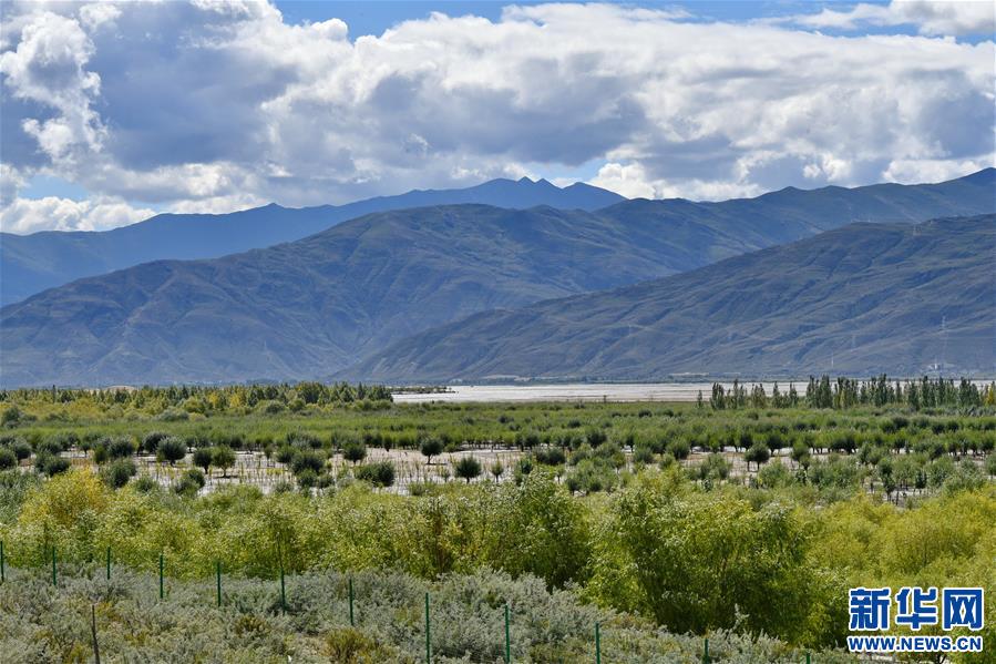 ���D�Ļ���(d��ng)����4��������������������(m��ng)���(m��ng)���ǘ��𡱡����������ذ��f(w��n)�r(n��ng)ū���61����֮�H