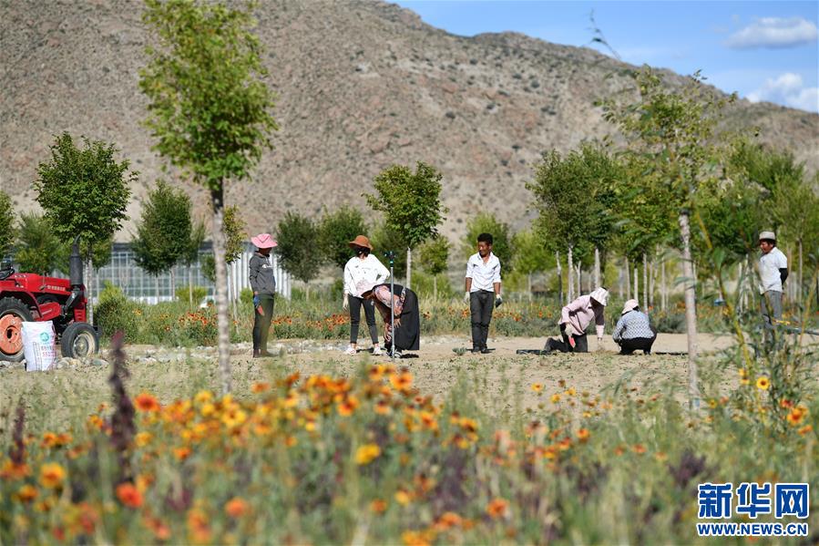 ���D�Ļ���(d��ng)����5��������������������(m��ng)���(m��ng)���ǘ��𡱡����������ذ��f(w��n)�r(n��ng)ū���61����֮�H