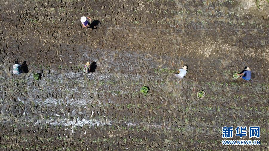 ������(x��)��ƽ�r(sh��)���Ї�(gu��)��ɫ���(hu��)���x˼��ָ���¡����r(sh��)����������ƪ�¡���(x��)��ƽ����(sh��)ӛ�P(gu��n)���¡��D�Ļ���(d��ng)����8��һ�О������񡪡���(xi��)��ȫ��(gu��)��Ѵ�Ȟ�(z��i)ȡ���A�����ش����֮�r(sh��)