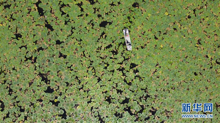 ������(x��)��ƽ�r(sh��)���Ї�(gu��)��ɫ���(hu��)���x˼��ָ���¡����r(sh��)����������ƪ�¡���(x��)��ƽ����(sh��)ӛ�P(gu��n)���¡��D�Ļ���(d��ng)����12��һ�О������񡪡���(xi��)��ȫ��(gu��)��Ѵ�Ȟ�(z��i)ȡ���A�����ش����֮�r(sh��)