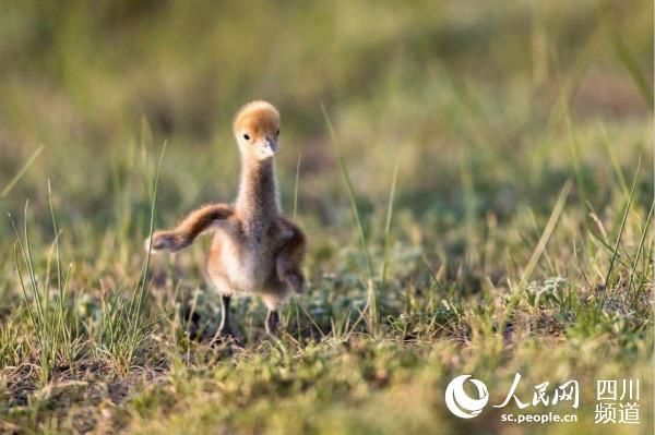 �����ڻ����Q����С�Q����� �z