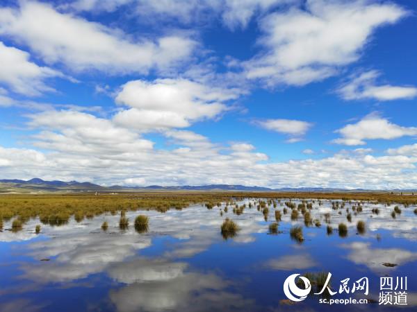 ��Ԋ�箋�Ļ��������� �z