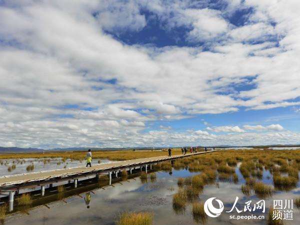 �L�L�ė������������������ �z