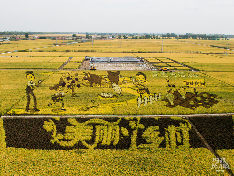 �r������ح���߈���Մ��������ƽ��ξ۽��@�Ă��I����