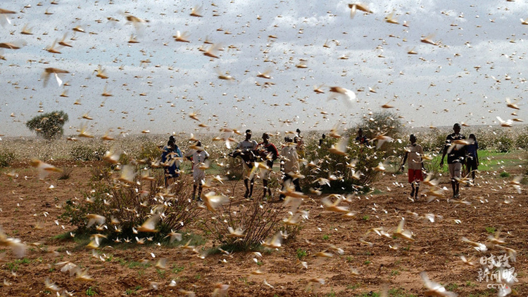 �r(sh��)������ح�������߳������r(sh��)������(x��)��ƽ����@Щ�Ї�����