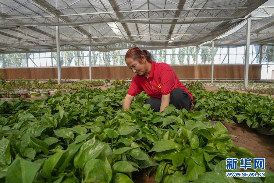 �����Aȫý�^�l���D�Ļ���(d��ng)����11��������ɽ�ϱ����V��(xi��)�l(f��)չ��ƪ��������(x��)��ƽͬ־����ĵ��h�����P(gu��n)���½������o(j��)��(sh��)