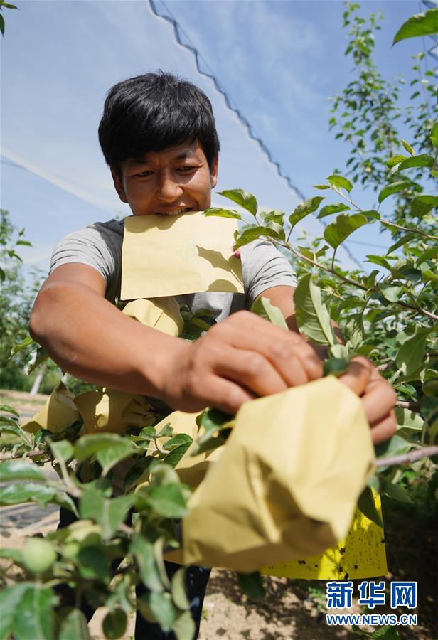 ������ƽ��С�����¡��D�Ļ��ӣ���2�����Һ����ε�һ����������׌�l(xi��ng)�H���һ�D�⡱��������ƽ��Óؚ���ԵĹ���