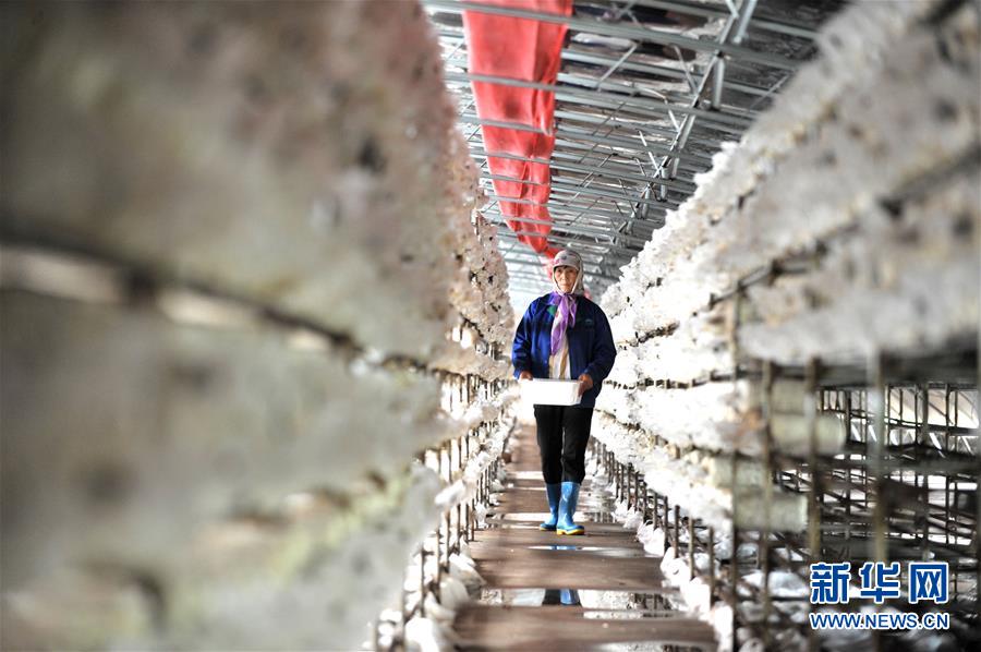 ������ƽ��С�����¡��D�Ļ��ӣ���6�����Һ����ε�һ���£�����׌�l(xi��ng)�H���һ�D�⡱��������ƽ��Óؚ���ԵĹ���