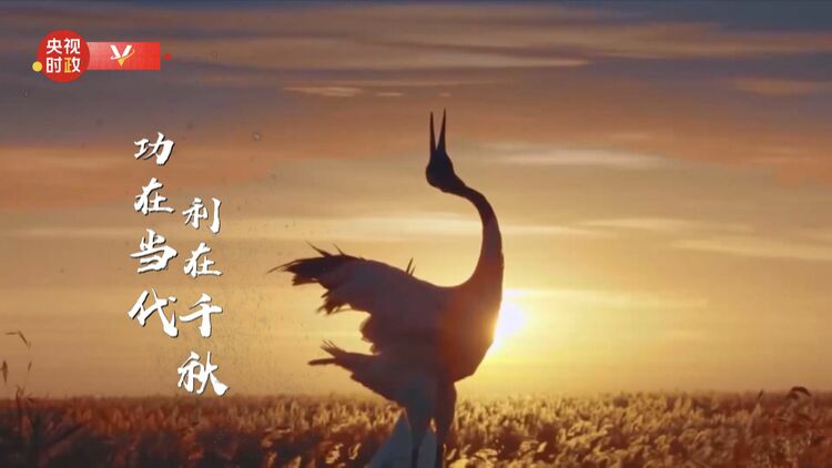 習(xí)近平江蘇行丨功在當代 利在千秋——走進江都水利樞紐