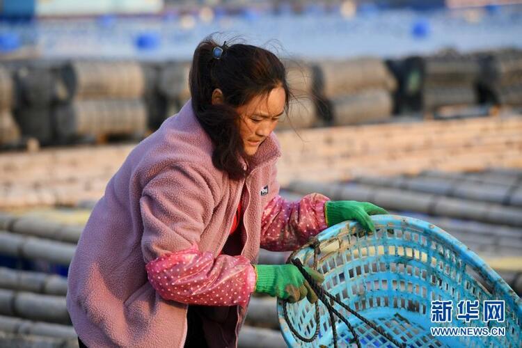 �����\(y��n)ĸ�H�����ԸЄ�(d��ng)�|�f��(gu��)��