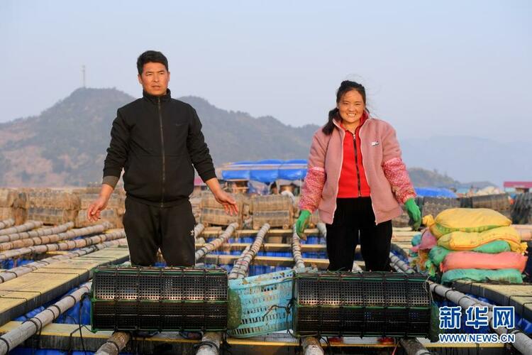 �����\(y��n)ĸ�H�����ԸЄ�(d��ng)�|�f��(gu��)��