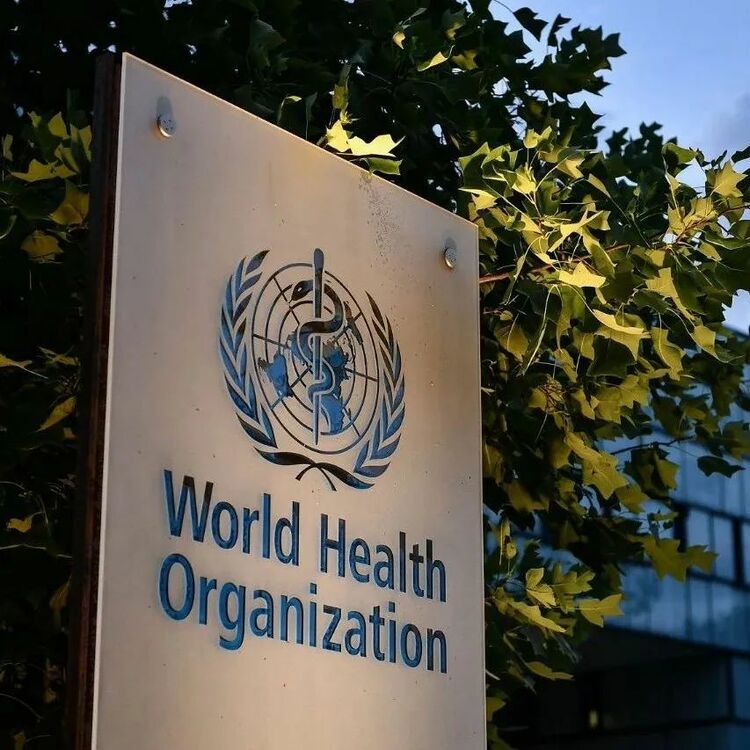 ���l(w��i)�M��Ҫ���ؙz