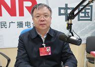 ��Ԓ�R�������L������