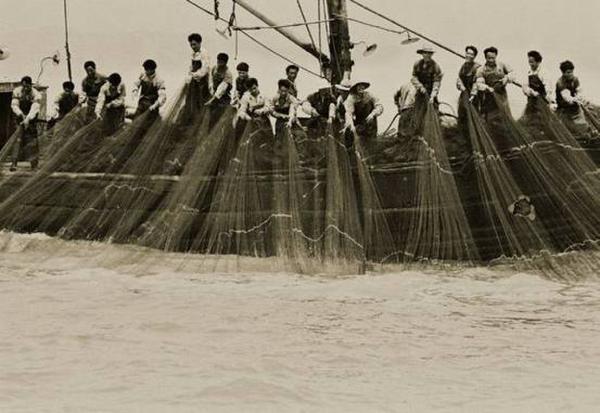 ��W(w��ng)̖(h��o)��