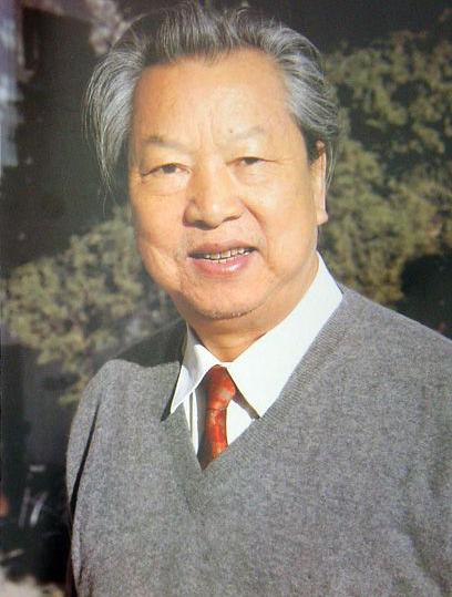 �R��MH370����˿�:������(�D)