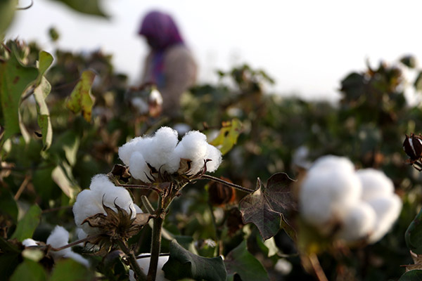 ���C�ػͣ��������æ