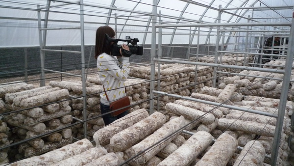 ���W(w��ng)�j(lu��)ý�w���D(zhu��n)�ġ��@��������ƽ�h�����®�