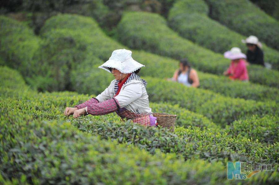 ����(j��ng)��(j��)����1���Jɽ�����(z��i)�^(q��)���h��