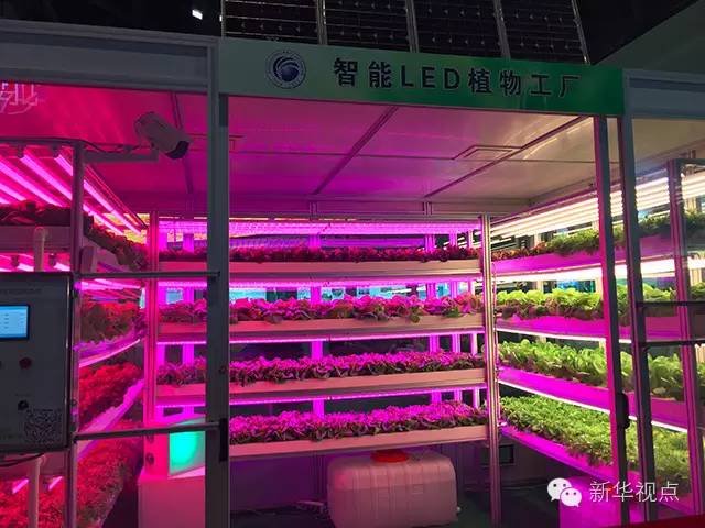 ������(x��)����ӛȥ���Ƽ�չ��