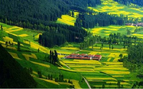 �����ϾW(w��ng)�� ϲӭʮ�Ŵ󡿱������B(t��i)��������������M�Gɫ�l(f��)չ