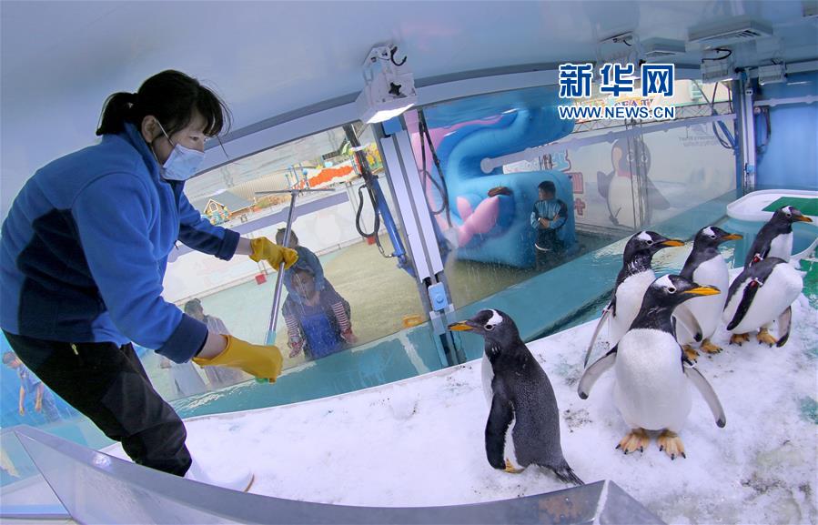 #�����(hu��)����3����(ji��n)�؍�λ�^���c