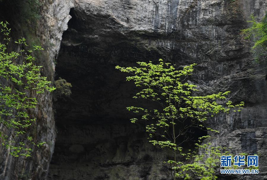 �������Ї�����1���߽�����(qi��ng)�ض������