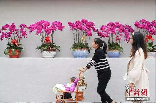 �Y�ψD��<a target='_blank' ><p  align=