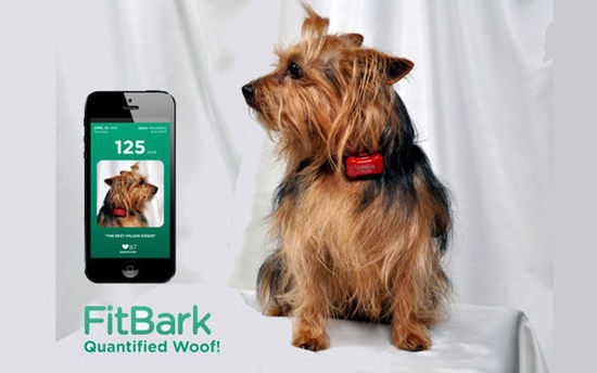 �P�c(di��n)5��V�ܚgӭ�Č���ÿɴ����O(sh��)��