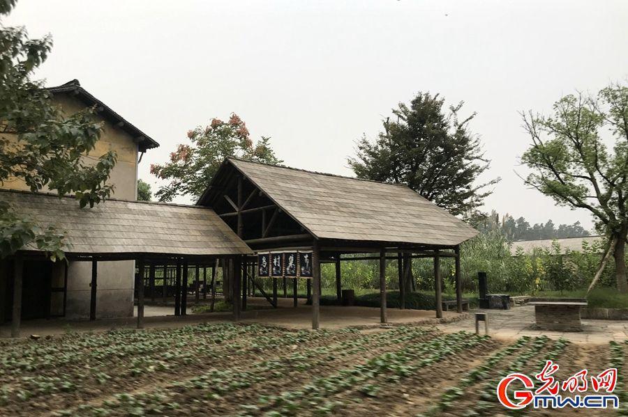 Vlogح���������绥(li��n)�W(w��ng)����M(j��n)�뵹Ӌ(j��)�r�����(zh��n)��(zh��n)�����