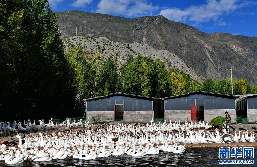 ��Óؚ����(ji��n)����1�����ز��������B(t��i)�Z�B(y��ng)ֳ����Óؚ