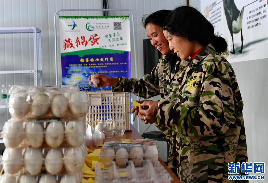 ��Óؚ����(ji��n)����3�����ز��������B(t��i)�Z�B(y��ng)ֳ����Óؚ