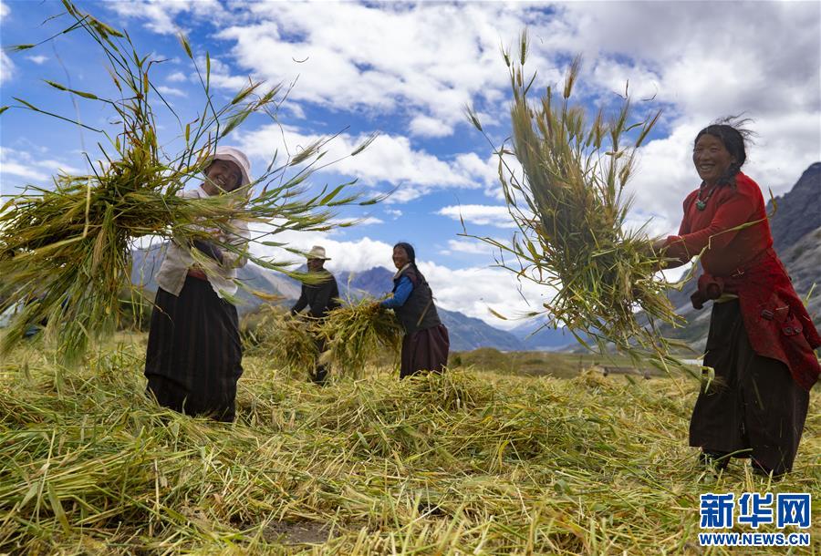 �����(hu��)����3�����أ������_�µ�����