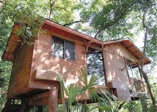 ��������������������������&nbsp;������������������������� ����3������36��������1����������1�����㣿������������